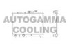 AUTOGAMMA 103626 Radiator, engine cooling